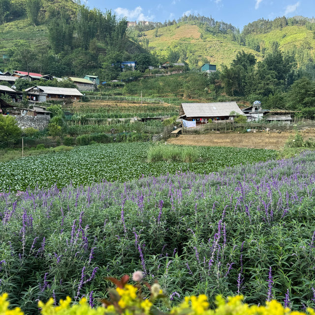 How my Sapa trip went