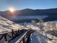 Fluffy White Snow of Northern Xinjiang