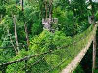 A great place for hiking
