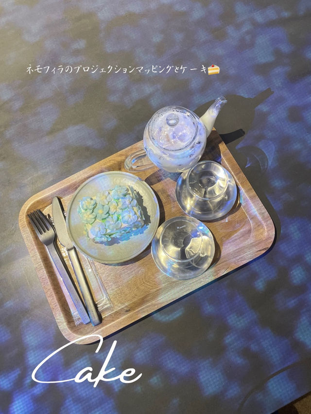 【茨城】宿泊者限定💠ネモフィラケーキが食べれる！星野リゾート