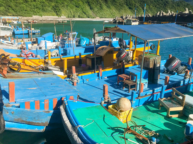 粉鳥林宜蘭台灣- Fenniaolin Fish Port Yilan Taiwan