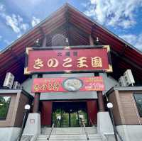 Charming Oasis on Route 453, Hokkaido
