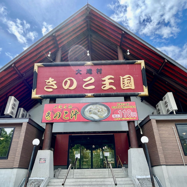 Charming Oasis on Route 453, Hokkaido