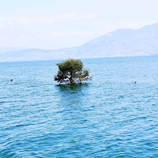 藍寶石般的洱海