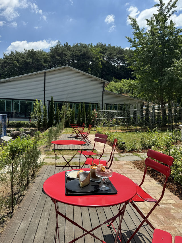 수국이 있는 감성 정원카페 🌸