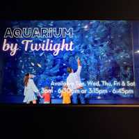 Aquarium Twilight Experience-Small Group Tour