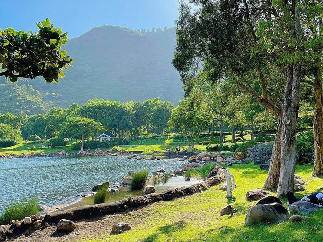【2024春】迪欣湖：最靚舒服公園，交通方便