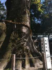 【兵庫】国生みの島・淡路島で歴史をたどる旅