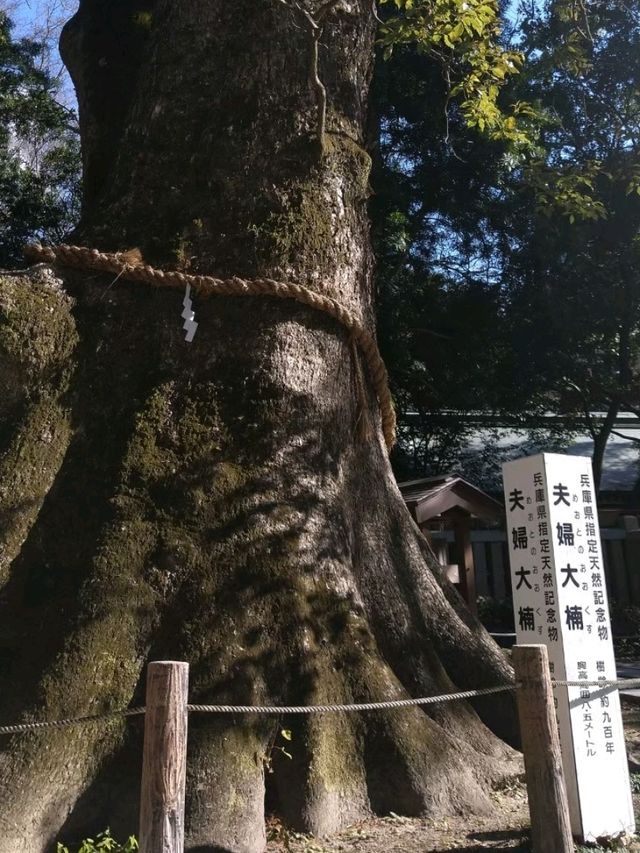 【兵庫】国生みの島・淡路島で歴史をたどる旅