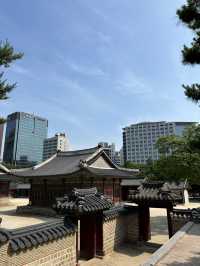 외국인 친구가 서울놀러오면 꼭 보여줘야하는곳💙