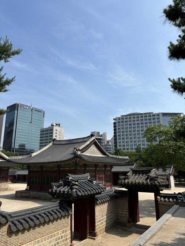외국인 친구가 서울놀러오면 꼭 보여줘야하는곳💙