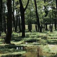 德裕山國立公園：大自然魅力