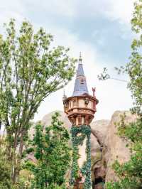 【Disney Sea】圧倒的！ファンタジースプリングスの魅力