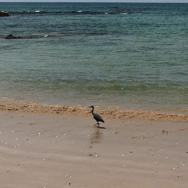 Nang Thong Beach - Phangnga 