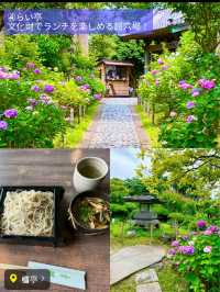 〜神奈川県〜穴場〜ライトアップまで！紫陽花スポット6選！