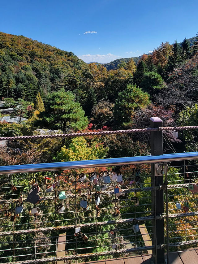 Hwadam Botanical Garden