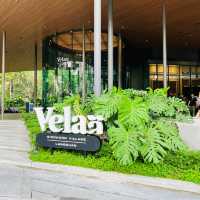 🇹🇭 Trendy Places to Eat at Velaa Sindhorn Village 