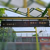 宜蘭幾米打卡廣場😺