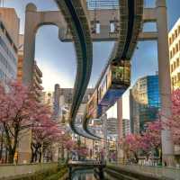 Discover the Futuristic Chiba Monorail