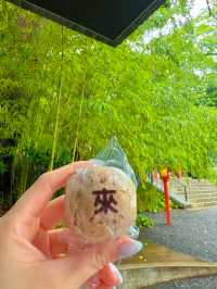 え、ココ神社なの?!えんむすび最強神社で癒されよう🤍