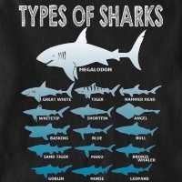Wonders of Shark Bay World Heritage Area 🇦🇺🦈
