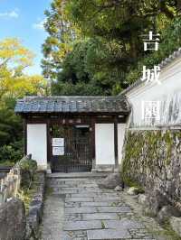 【保存版🔖】奈良旅の王道スポット3選👑1日で巡るプラン付き🗓️‼️