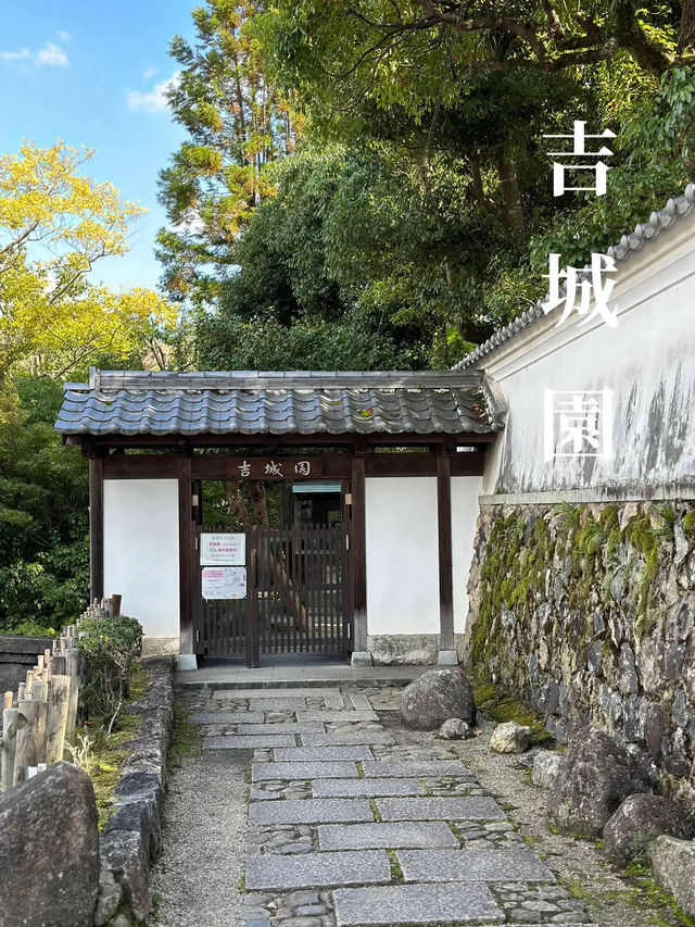 【保存版🔖】奈良旅の王道スポット3選👑1日で巡るプラン付き🗓️‼️