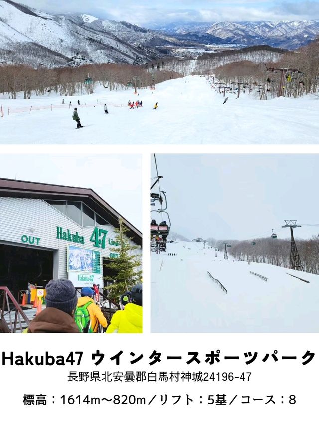 【長野】スキー場「白馬エリア」おすすめ 5選