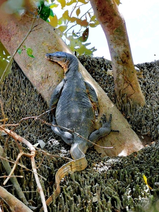 Kilim Geoforest Park, a haven for nature lovers! 