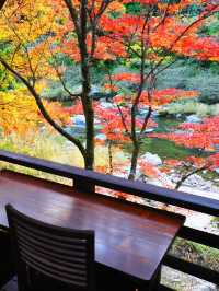 感動の紅葉が見れる🥺🍁香嵐渓🍁🥺