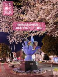 〜神奈川県〜桜と岡本太郎アート作品😳