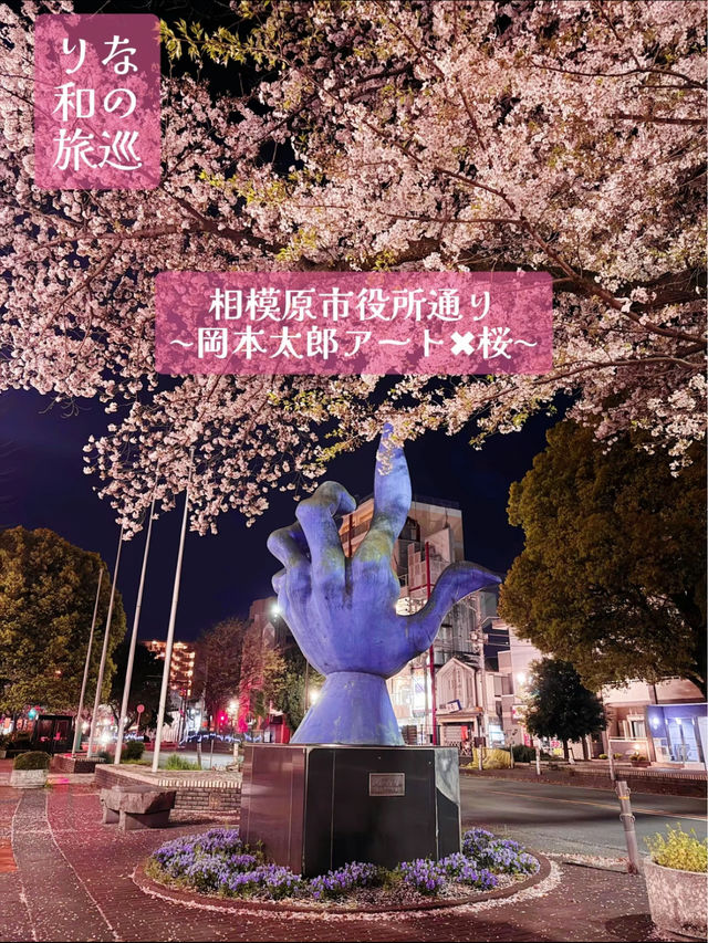〜神奈川県〜桜と岡本太郎アート作品😳