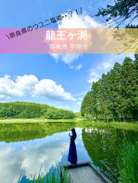  【奈良】奈良のウユニ塩湖👀？？絶景スポット：龍王ヶ渕