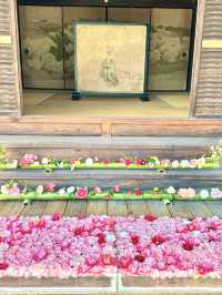 〜京都府〜女性のパワスポ椿が美しいお寺