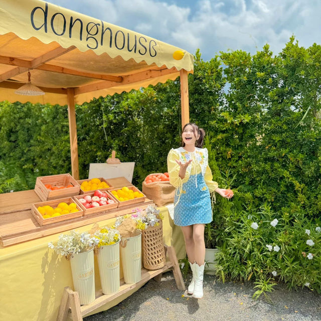 คาเฟ่ลับเขาใหญ่ ตั้งอยู่บนเนินเขา บรรยากาศดี