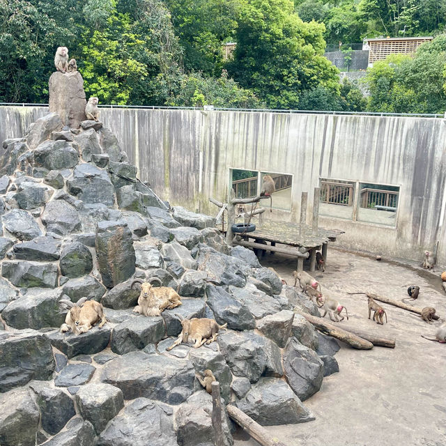 平川動物園-温泉、美景、可愛的動物，三者兼得