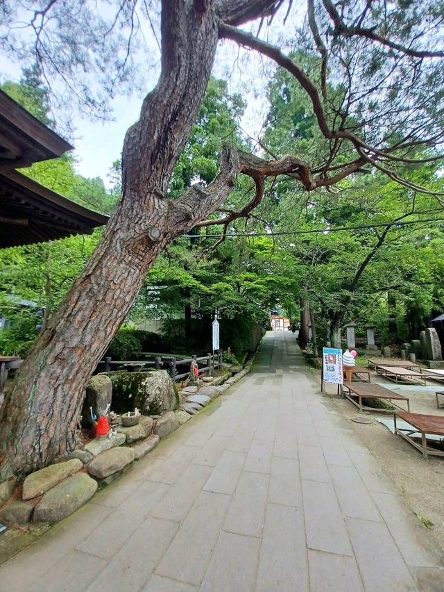 【山形県山形市:立石寺(山寺)】1015段の階段の先の絶景✨