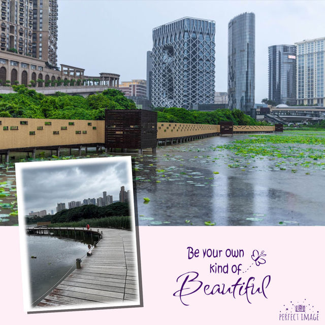 氹仔自然生態區觀景
