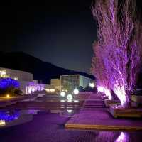 【淡路夢舞台】星空と夜景が繋がる✨建築が美しいイルミネーション✨