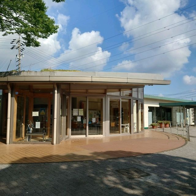 四季折々のイベント「大池公園」