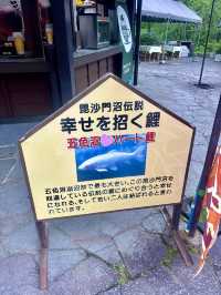【日本東北】五色沼：大自然的調色盤，火山爆發所形成火山口湖泊