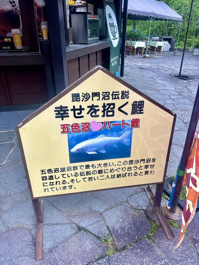 【日本東北】五色沼：大自然的調色盤，火山爆發所形成火山口湖泊