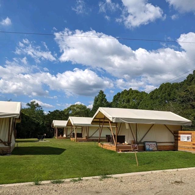 吉卜力公園附近的glamping