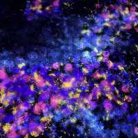 Teamlab Borderless ✨