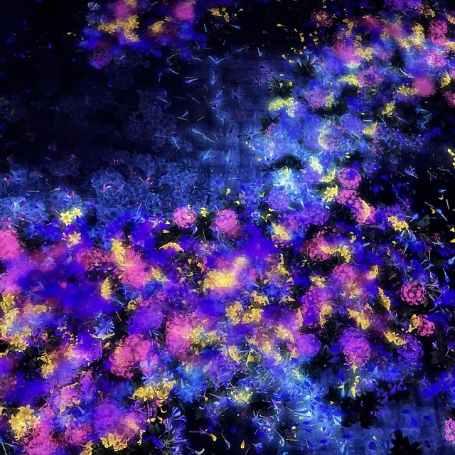 Teamlab Borderless ✨