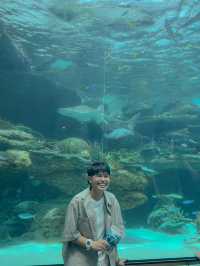 Port of Nagoya Public Aquarium 🪼🐬🚢