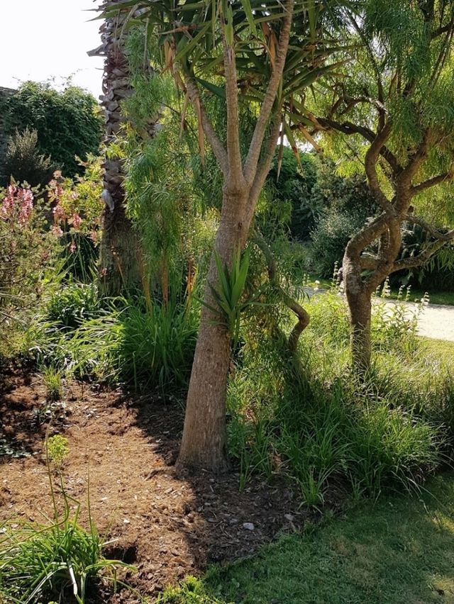 An oasis in the city