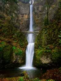 Finally Saw the Multnomah Falls