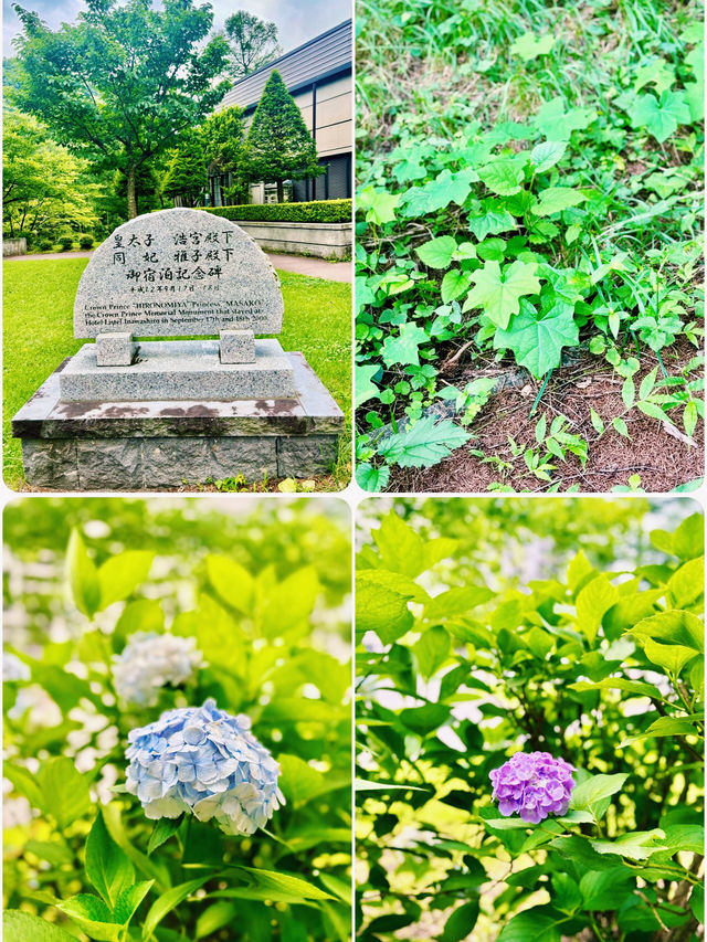 【日本東北】豬苗代本館利時達酒店：東北度假勝地，夏日森林散步、冬日賞雪