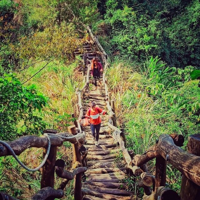 【臺中】熱門登山步道，適合喜歡自然景觀和健行活動的人